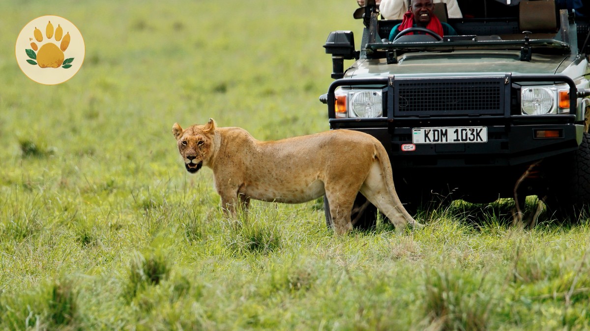 Kenya Plastic Bag Ban: What Not to Pack or Bring - photo 2
