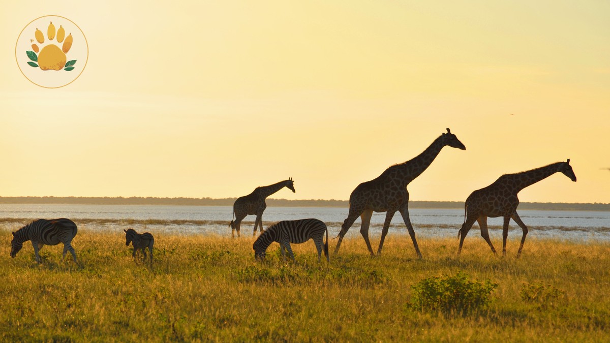 Private Safari vs Shared Group Vehicle: Which Fits You - photo 1