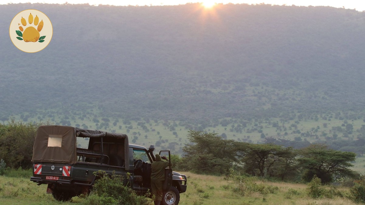Safari Vehicle Window Seat Guarantee: What It Really Means - photo 2