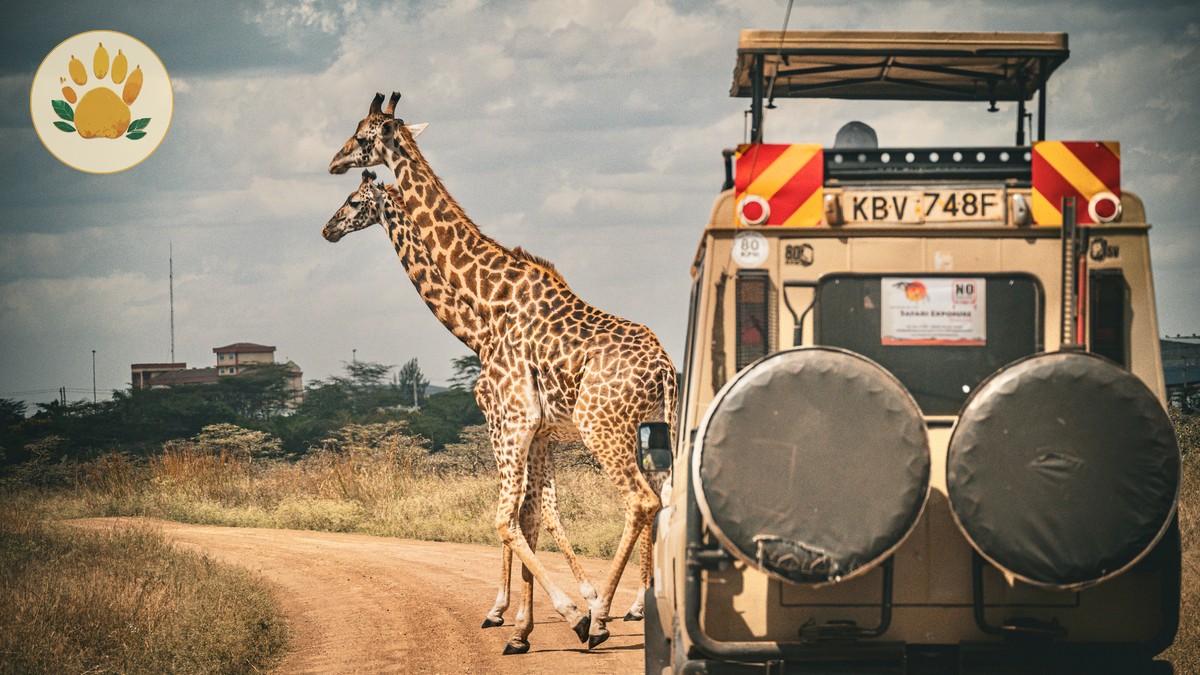 Shaba National Reserve Safari Guide (2026) - photo 2