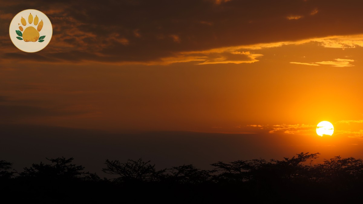 Solio Rhino Sanctuary Guide: Access, Fees, Best Time - photo 2