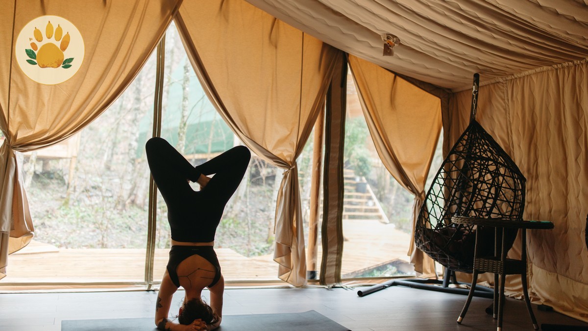 Tented Camp vs Lodge Kenya Safari: Which to Pick