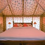 Best Tented Camps Near Nairobi: Prices & Drive Times