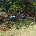 Vegetarian and Vegan Food on Kenya Safari Camps