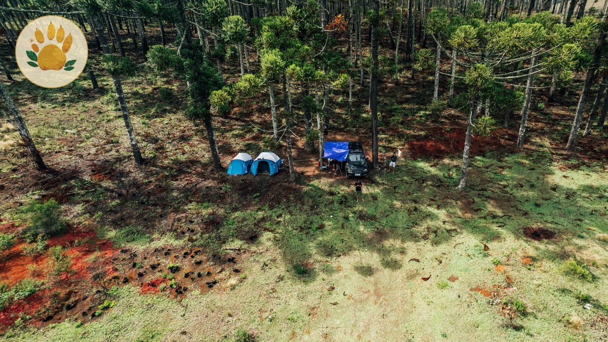 Vegetarian and Vegan Food on Kenya Safari Camps