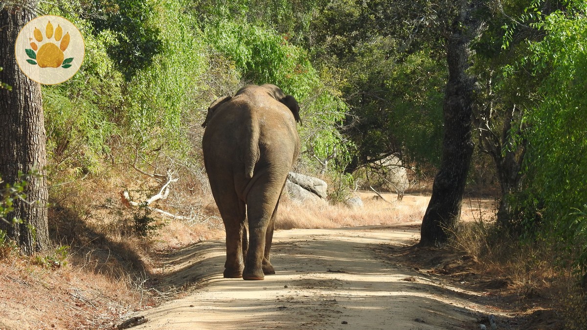 What a Walking Safari in Laikipia Is Really Like - photo 1