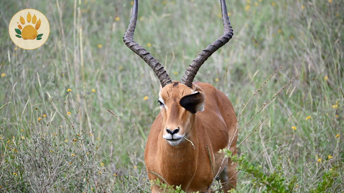 What's Included in a Kenya Safari Package Price? - photo 2