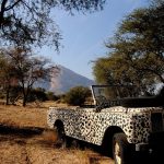 Where to See Leopards in Kenya: Best Parks and Timing