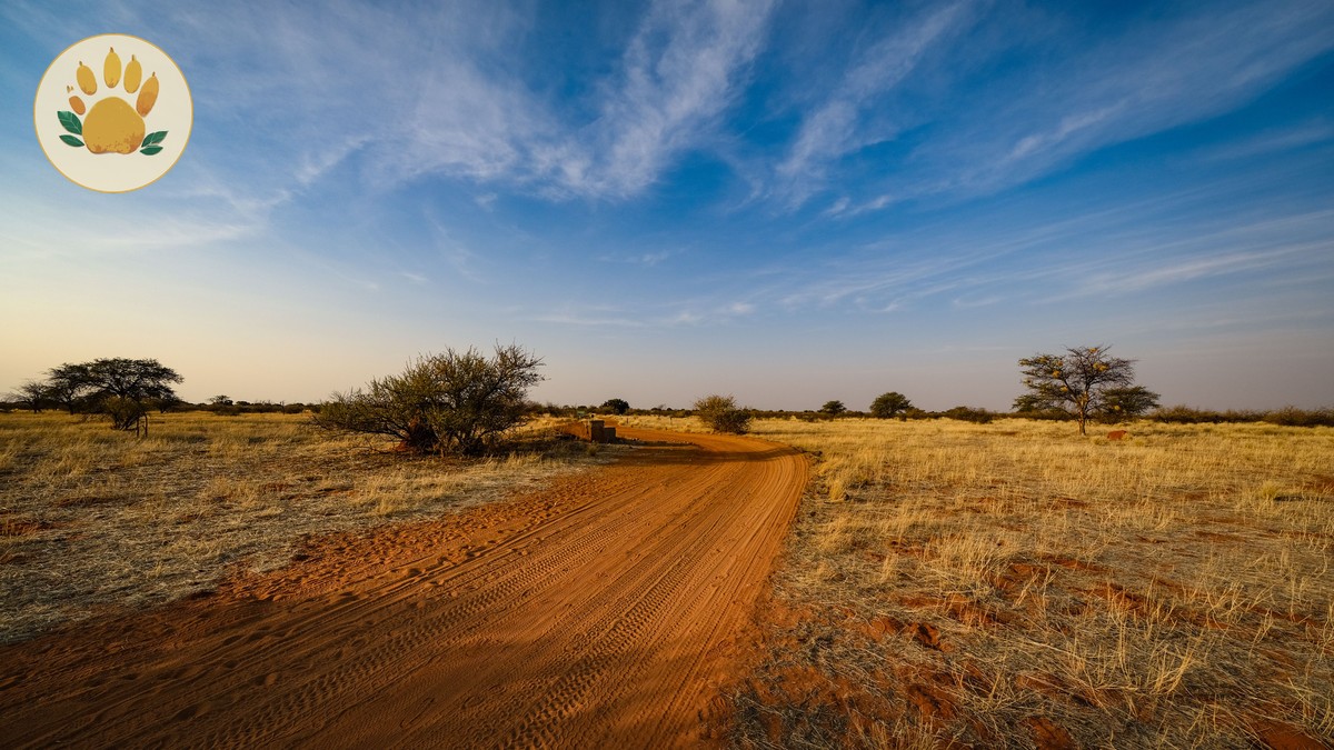 Yellow Fever Vaccine Requirement: Kenya Safari Guide - photo 1