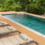 Aberdare National Park Tree Lodges: Full 2026 Guide