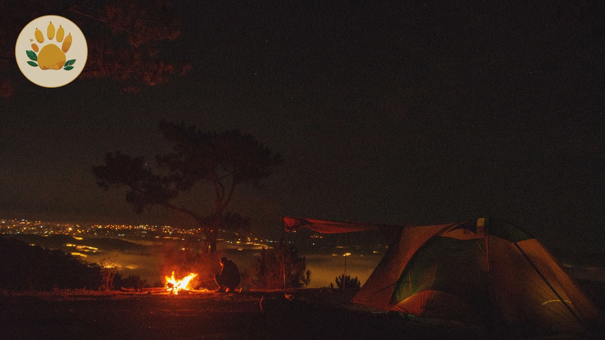 How Are Safari Wake Up Calls Made: 5 Camp Steps - photo 1