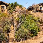 Babysitting Childcare Service at Safari Lodges (Kenya)