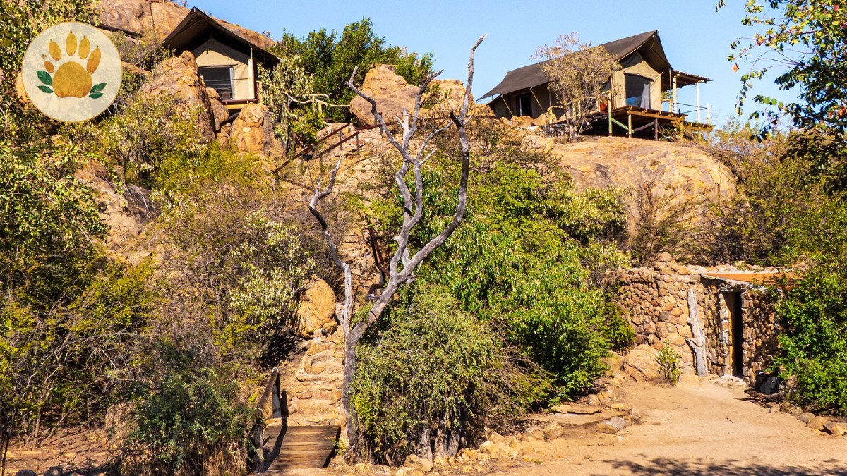 Babysitting Childcare Service at Safari Lodges (Kenya)