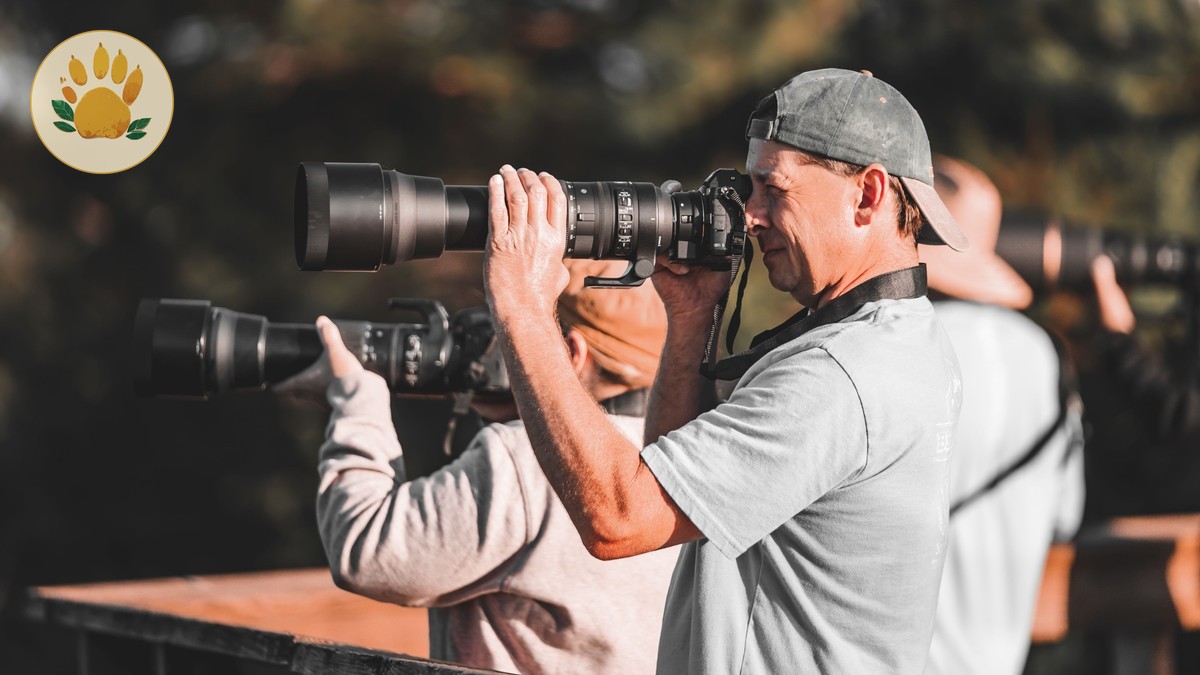 Best Lens Focal Length for Safari Photography in Kenya