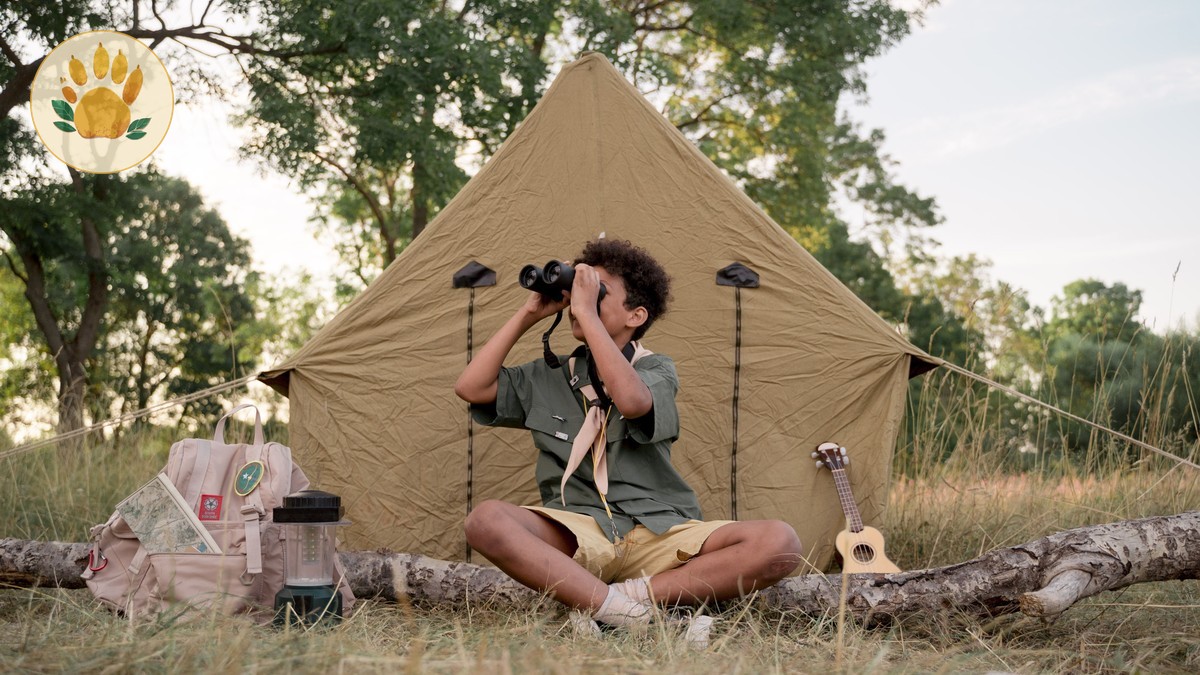 Best Places to See Lions Kenya: Parks, Camps & Trade-Offs