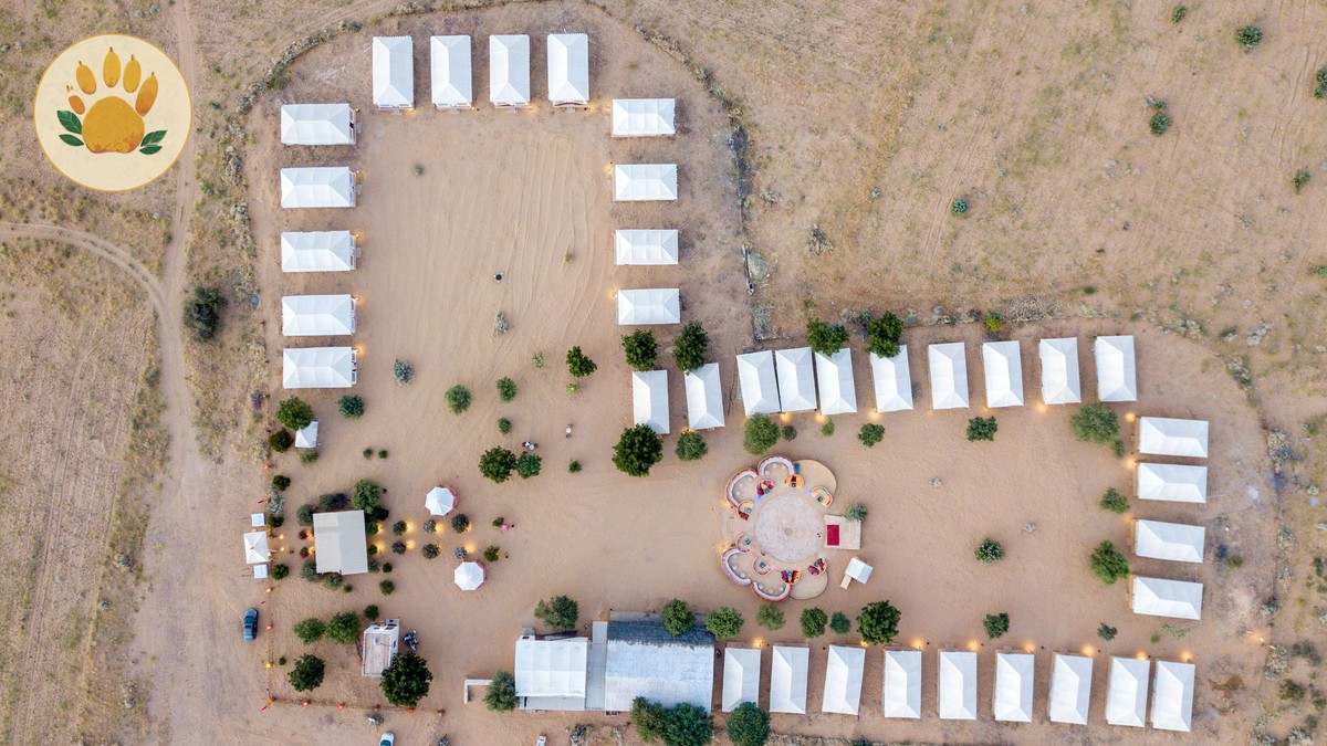 Best Places to See Lions Kenya: Parks, Camps & Trade-Offs - photo 2