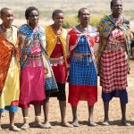 Bomas of Kenya Cultural Show Guide: Open in 2026?