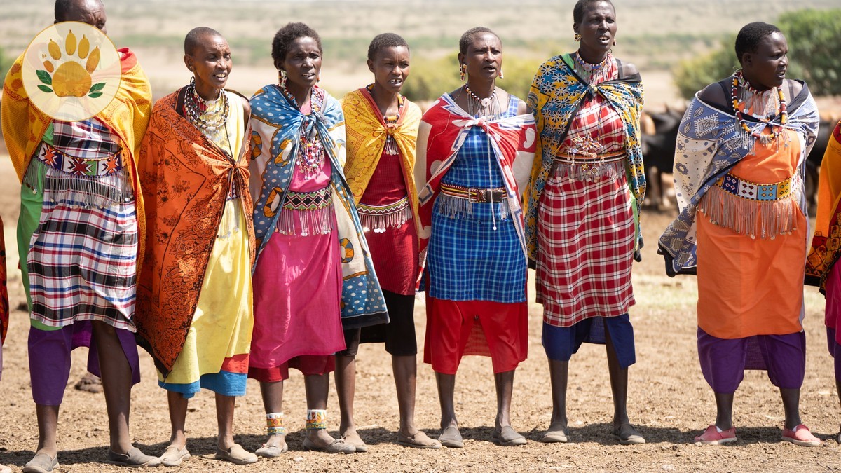 Bomas of Kenya Cultural Show Guide: Open in 2026?