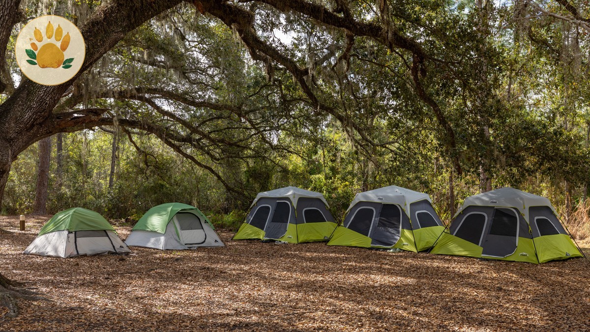 Budget Camping Safari Kenya Cost Guide (2026)