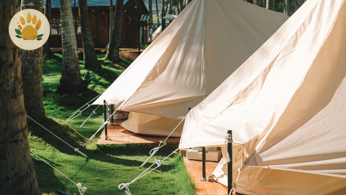 Budget Camping Safari Kenya Cost Guide (2026) - photo 2