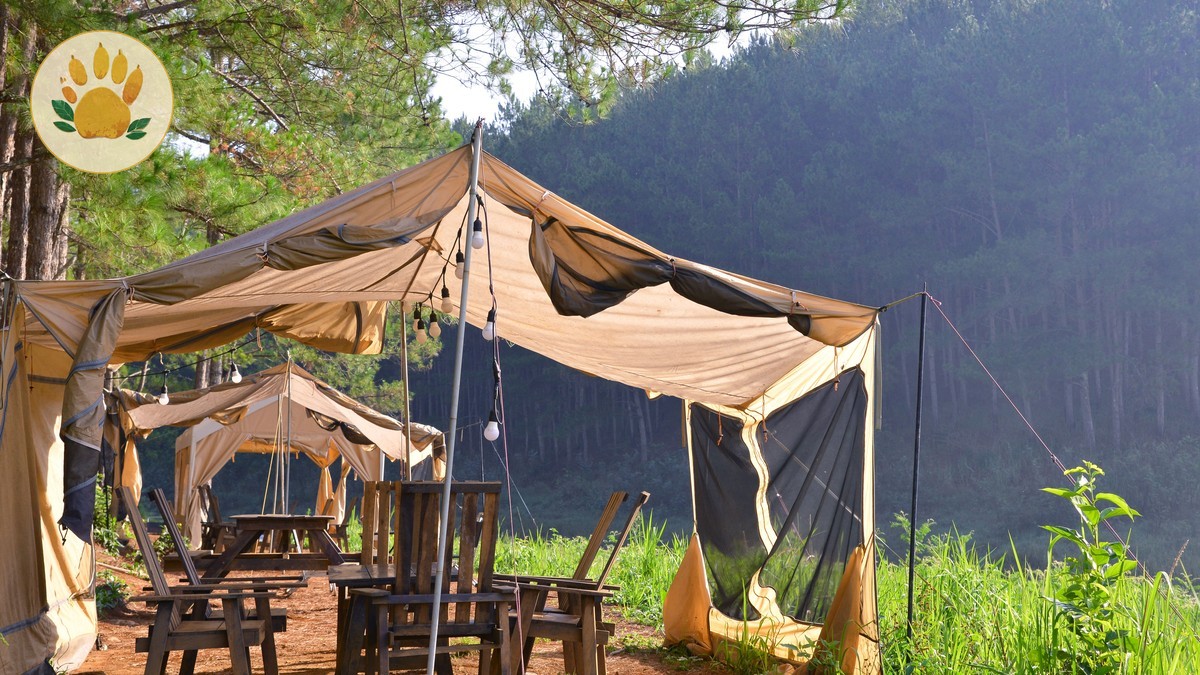 Camping Gear Rental Nairobi Safari: Where to Rent