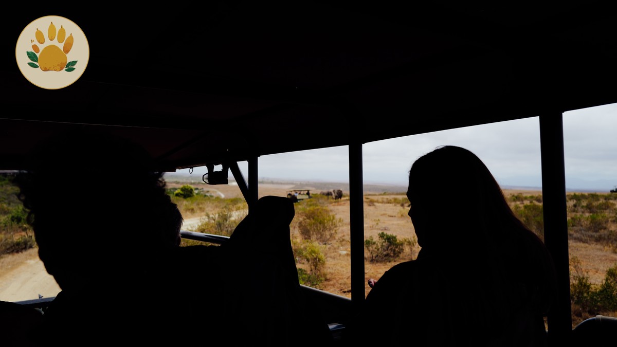Can I Use Credit Cards on a Kenya Safari? What You Should Know - photo 2
