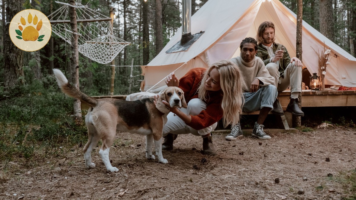 Can Safari Camps Handle Food Allergies in Kenya?