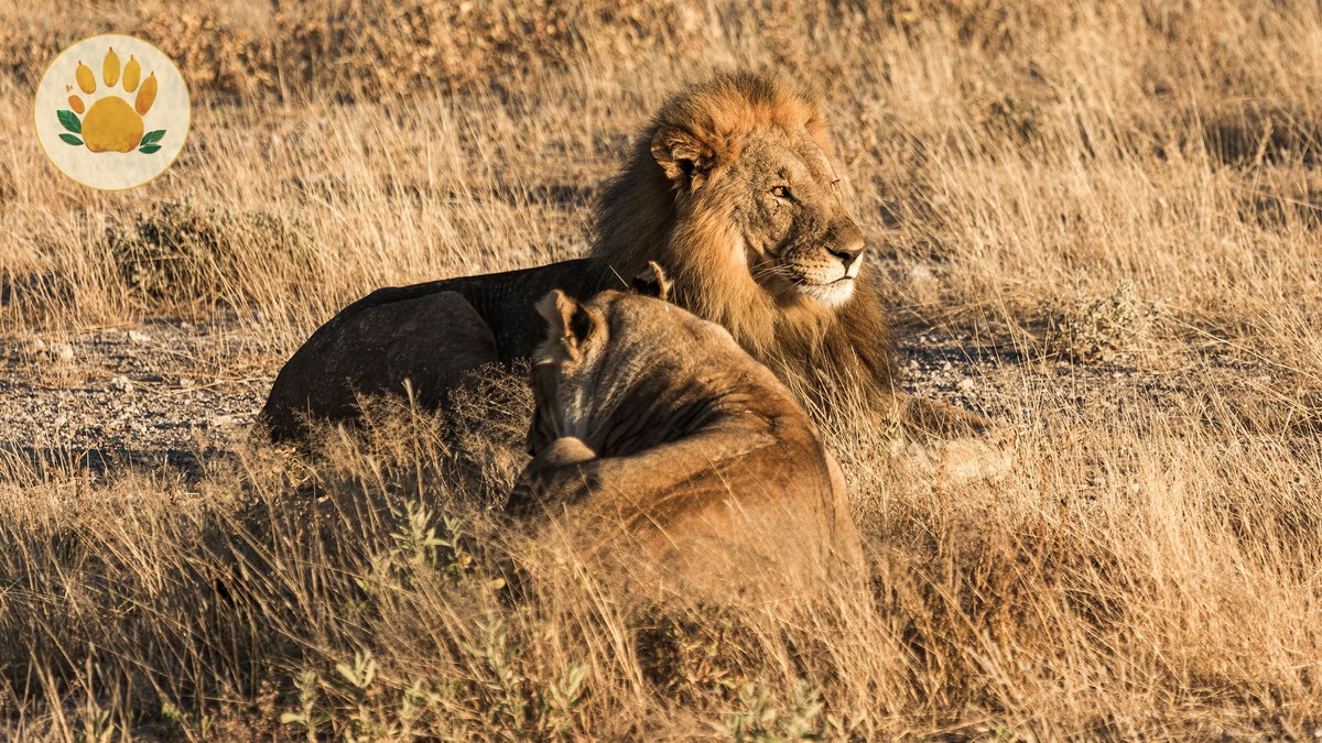 Can Safari Guests Leave Luggage in Nairobi? - photo 2
