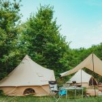 Can You Use M-Pesa at Safari Camps?