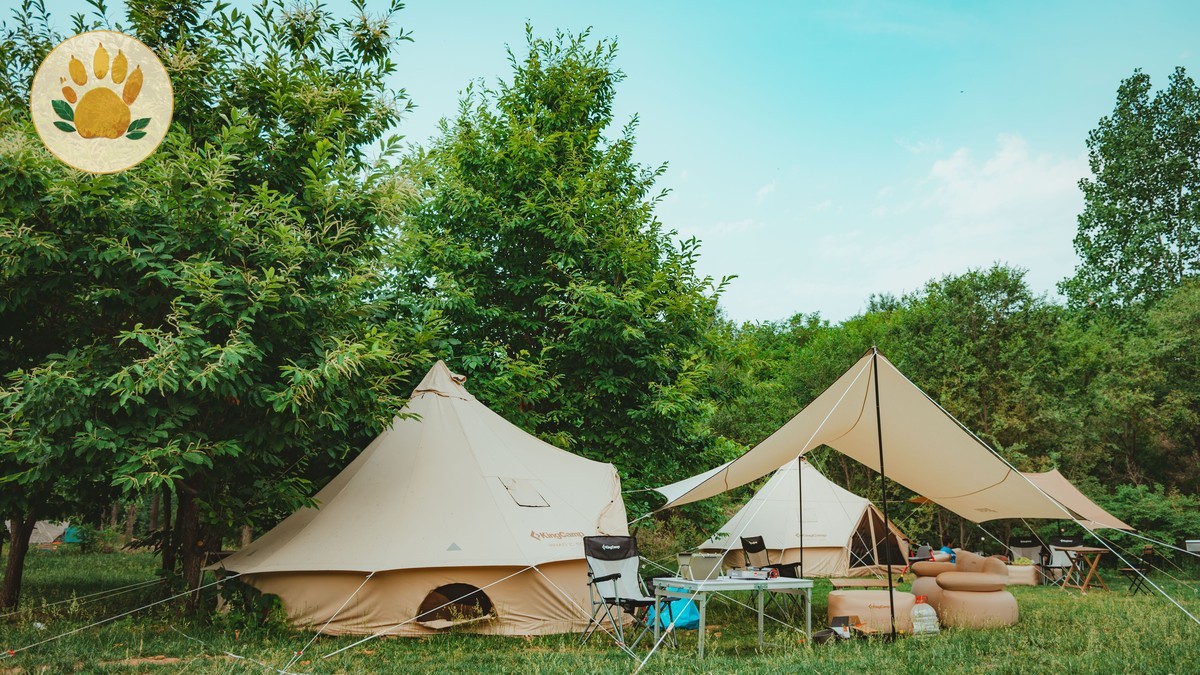 Can You Use M-Pesa at Safari Camps?