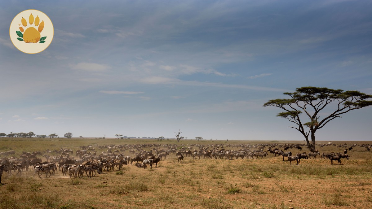 Do Flamingos Still Live at Lake Nakuru? 2026 Guide - photo 2