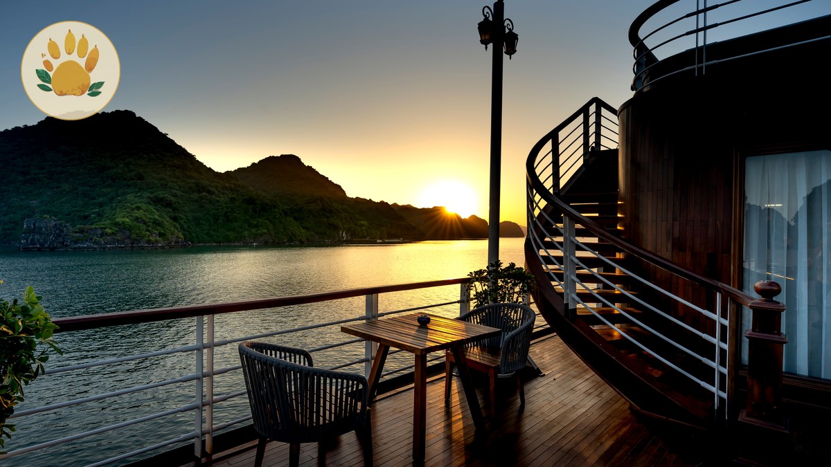 Do Safari Lodges Include Meals? A Kenya Guide - photo 2