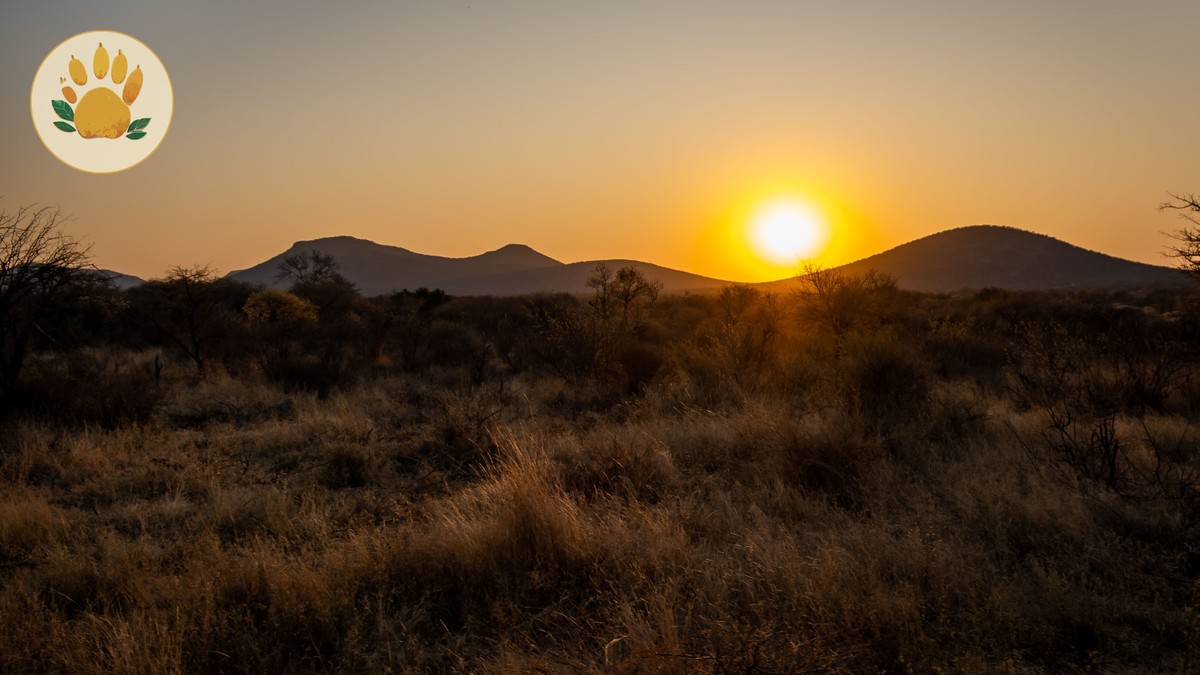 Documentaries and Books to Watch Before Your Kenya Safari - photo 1