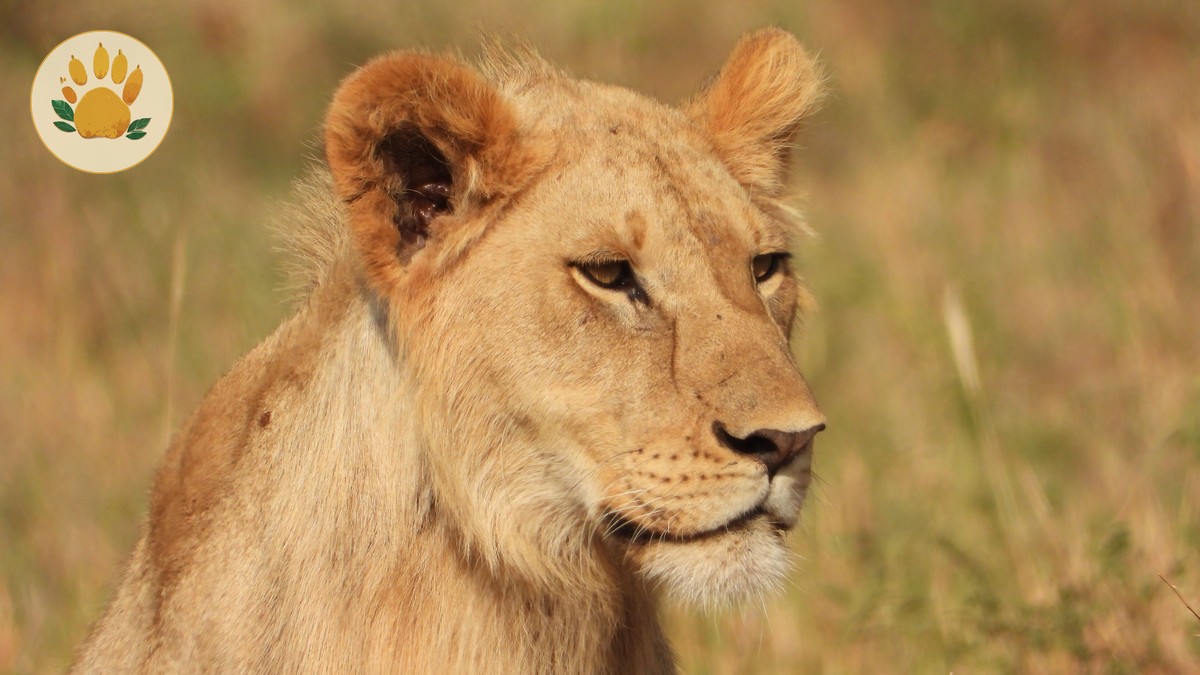 Fixed Departure Group Safari Kenya: Cut Costs