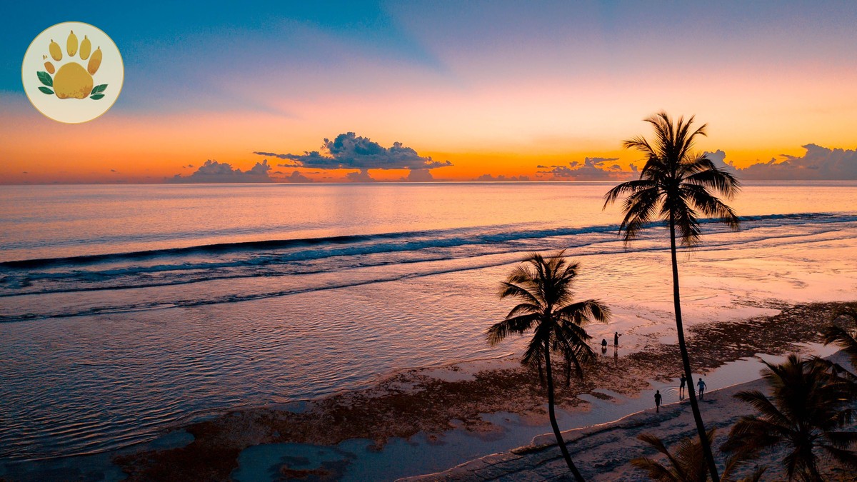 Flying Nairobi to Diani Beach: Complete Guide - photo 1
