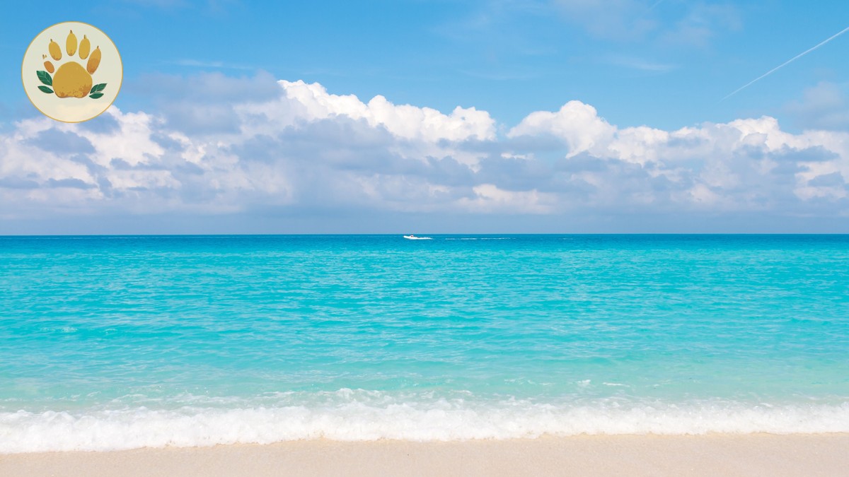 Flying Nairobi to Diani Beach: Complete Guide - photo 2