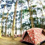 How Do Safari Camps Handle Power Cuts?