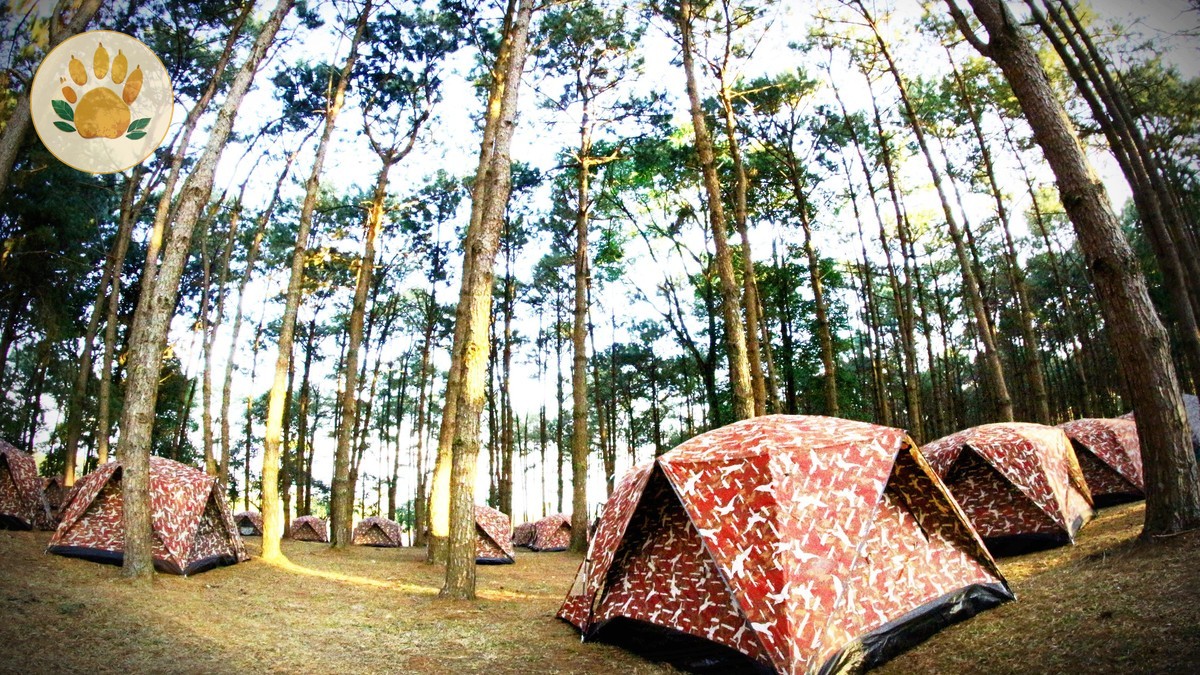 How Do Safari Camps Handle Power Cuts?