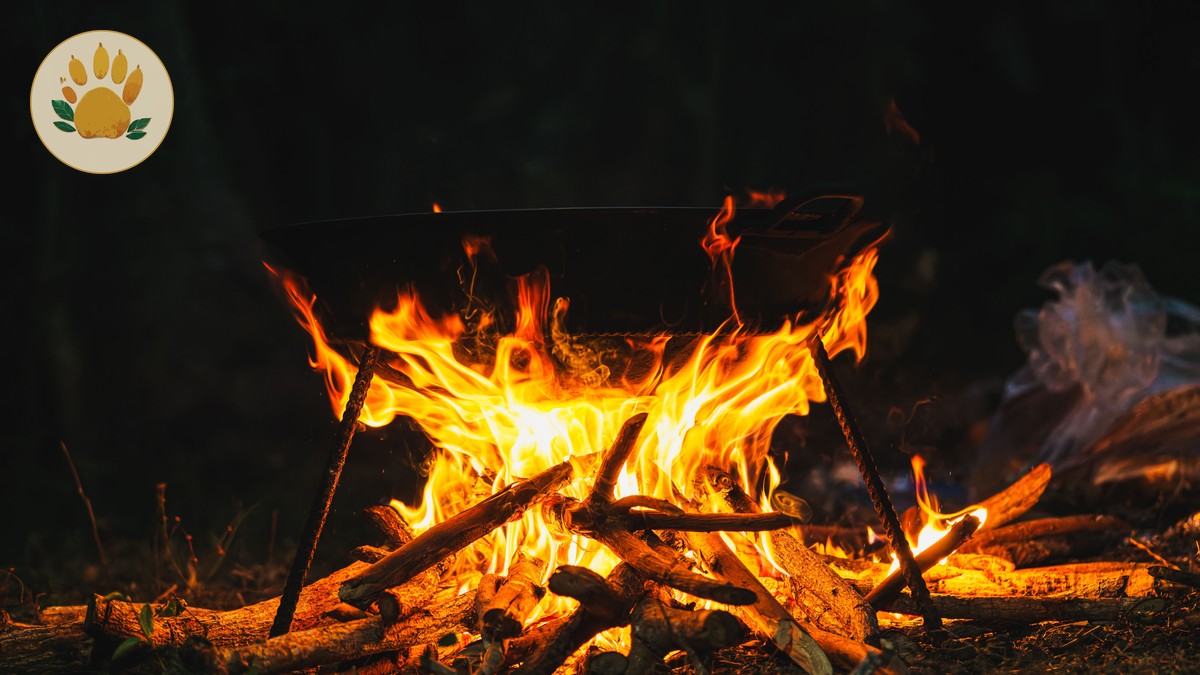 How Do Safari Camps Handle Power Cuts? | SafariPure - photo 1