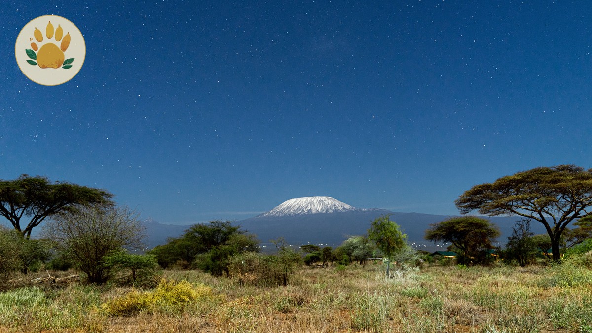 How Many Nights to Stay at Each Safari Camp? - photo 2