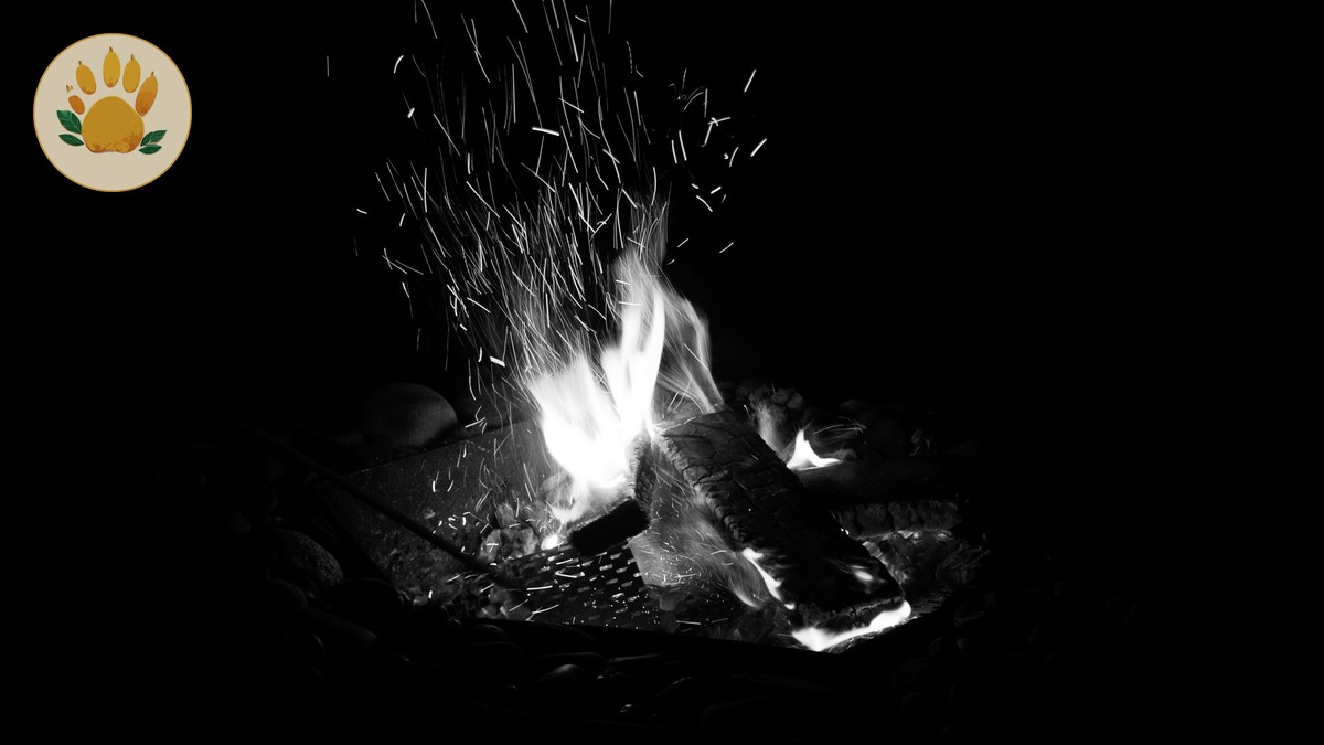 How Noisy Are Safari Tents? Kenya Camp Noise Guide - photo 1