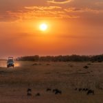How to Spot Fake Safari Tour Reviews (Kenya Guide)