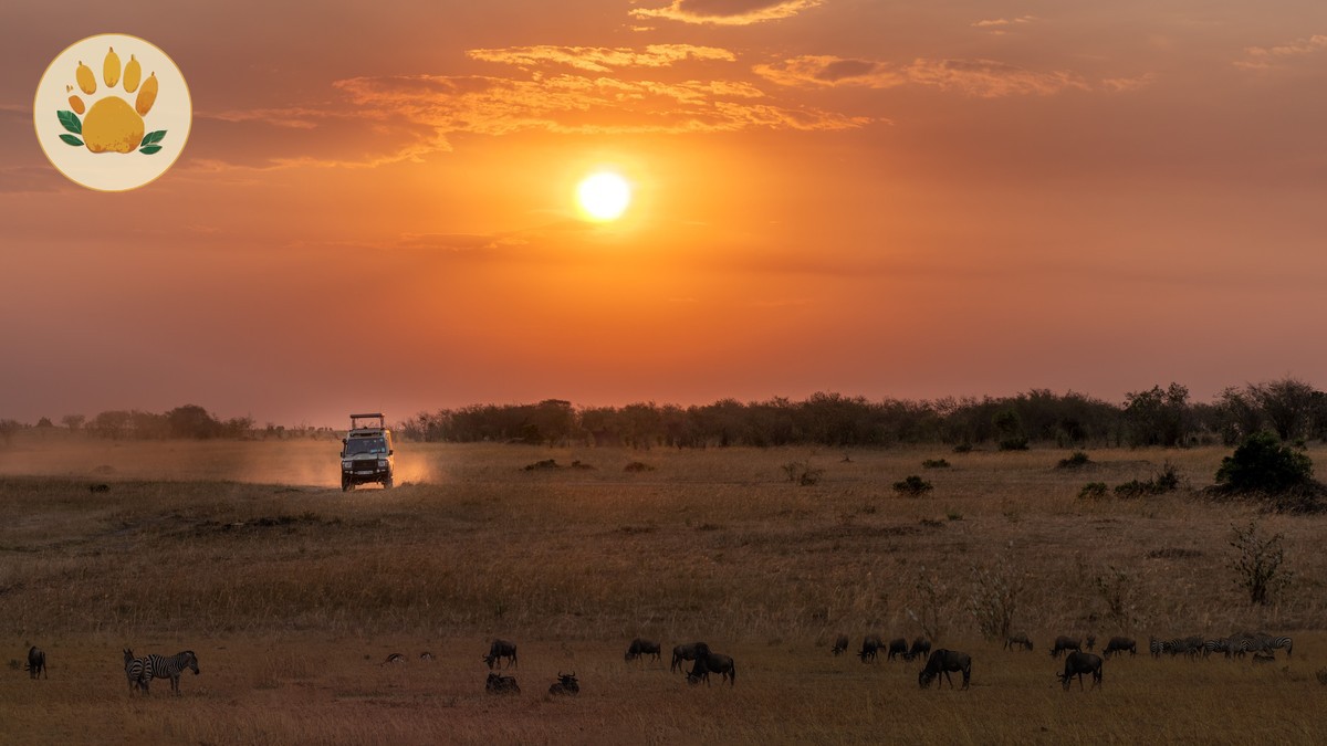 How to Spot Fake Safari Tour Reviews (Kenya Guide)