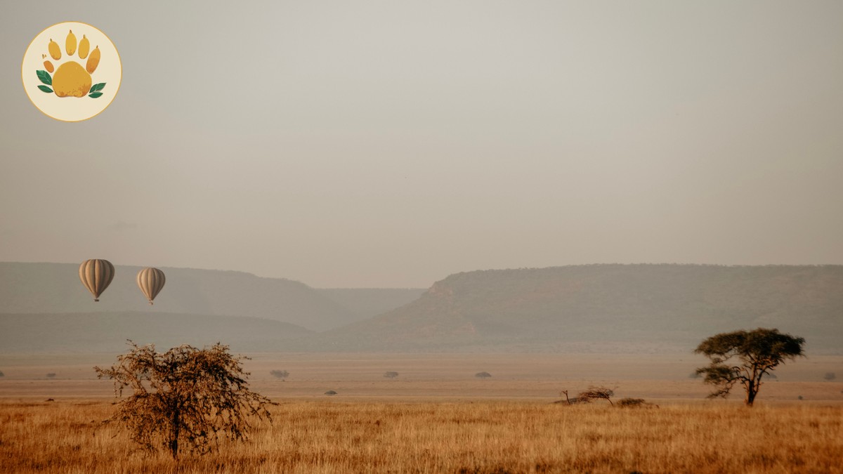 How to Spot Fake Safari Tour Reviews (Kenya Guide) - photo 1