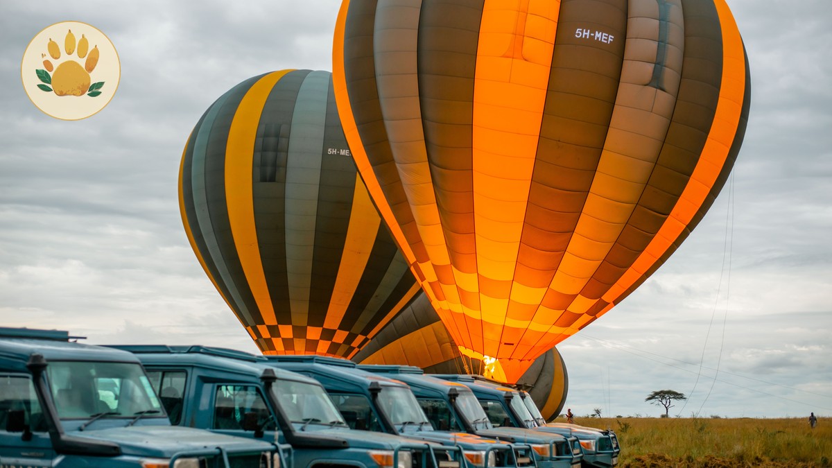 Independent Travel vs Guided Safari in Kenya: Which Fits - photo 2