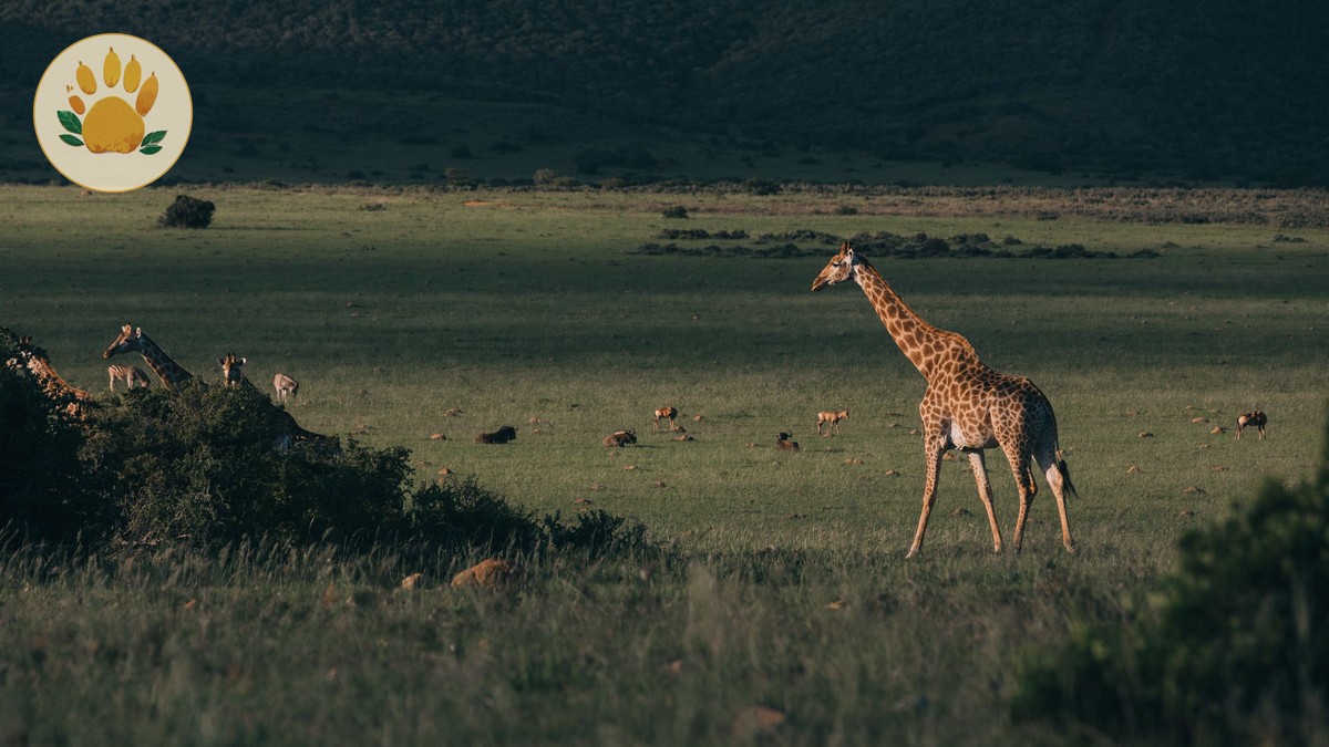 Is Kenya Safe for American Tourists in 2026? - photo 1