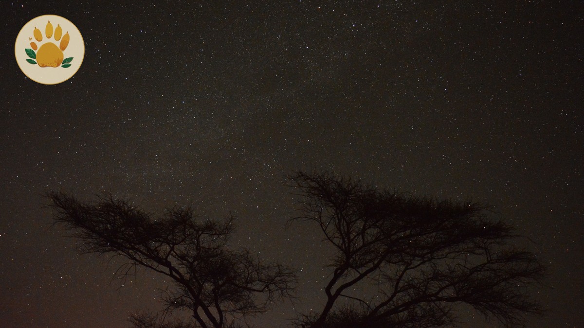 Is Two Nights in the Masai Mara Enough? 2026 Guide - photo 2