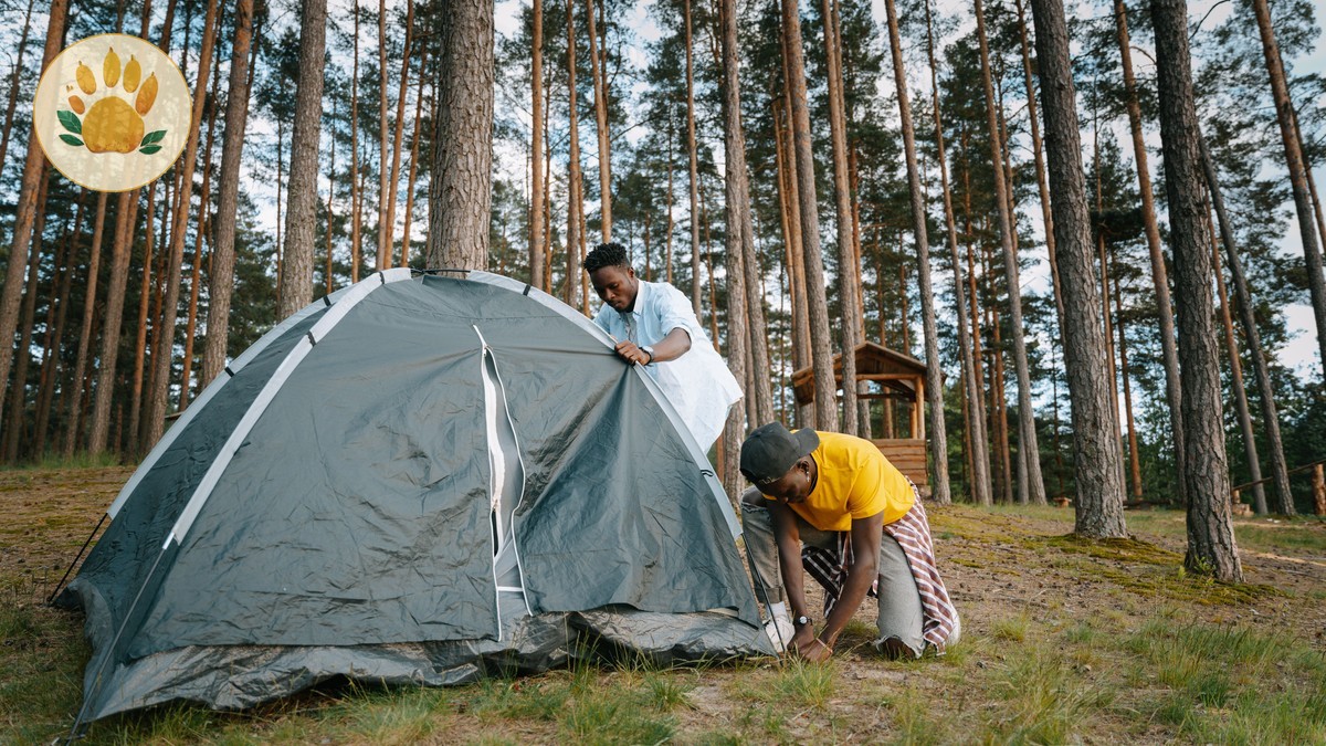 Keeping Valuables Safe at Kenya Safari Camps