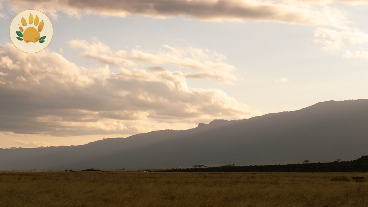Kenya ETA Travel Authorization: Full Application Guide - photo 1