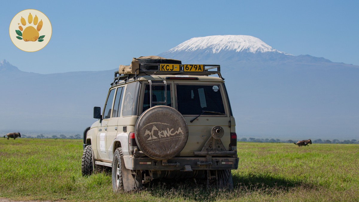 Kenya ETA Travel Authorization: Full Application Guide - photo 2